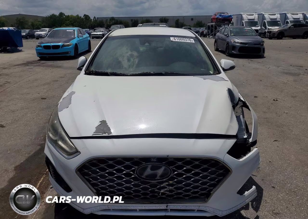 2019 Hyundai Sonata Sel VIN:5NPE34AF2KH803535 - 5