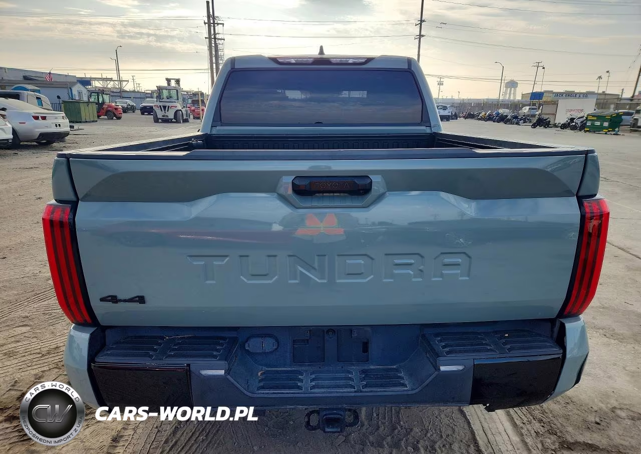2022 Toyota Tundra Sr5 VIN:5TFLA5DB5NX035523 - 6