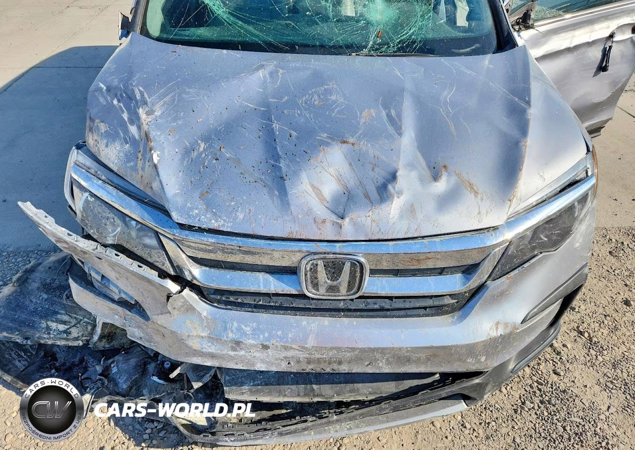 2019 Honda Pilot Exl VIN:5FNYF6H48KB021226 - 11