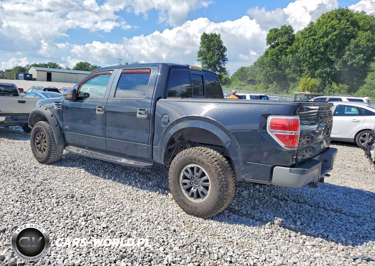 2011 Ford F150 Svt Raptor VIN:1FTFW1R64BFA05207 - 2