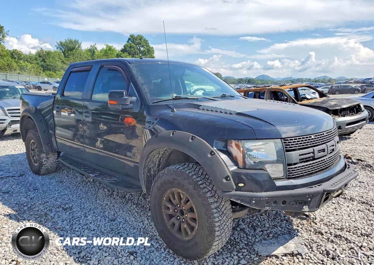 2011 Ford F150 Svt Raptor VIN:1FTFW1R64BFA05207 - 4