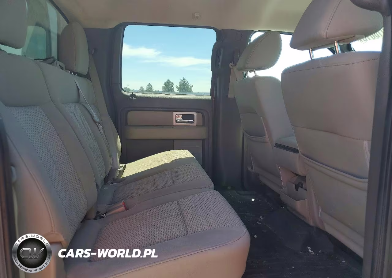 2010 Ford F150 Supercrew VIN:1FTEW1C86AFA71584 - 10