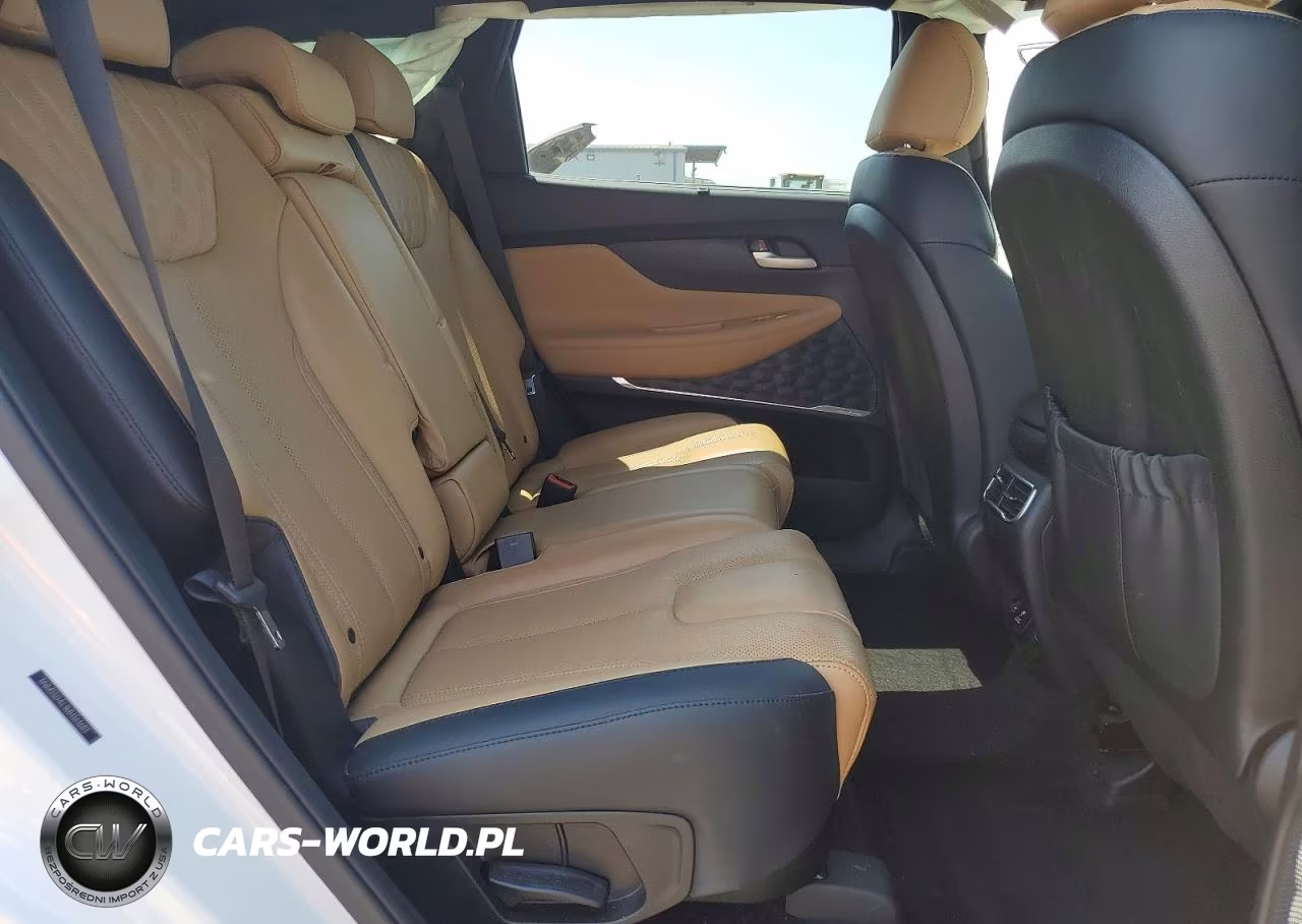 2021 Hyundai Santa Fe Calligraphy VIN:5NMS5DAL1MH363603 - 11