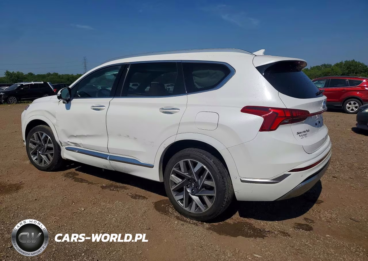 2021 Hyundai Santa Fe Calligraphy VIN:5NMS5DAL1MH363603 - 2