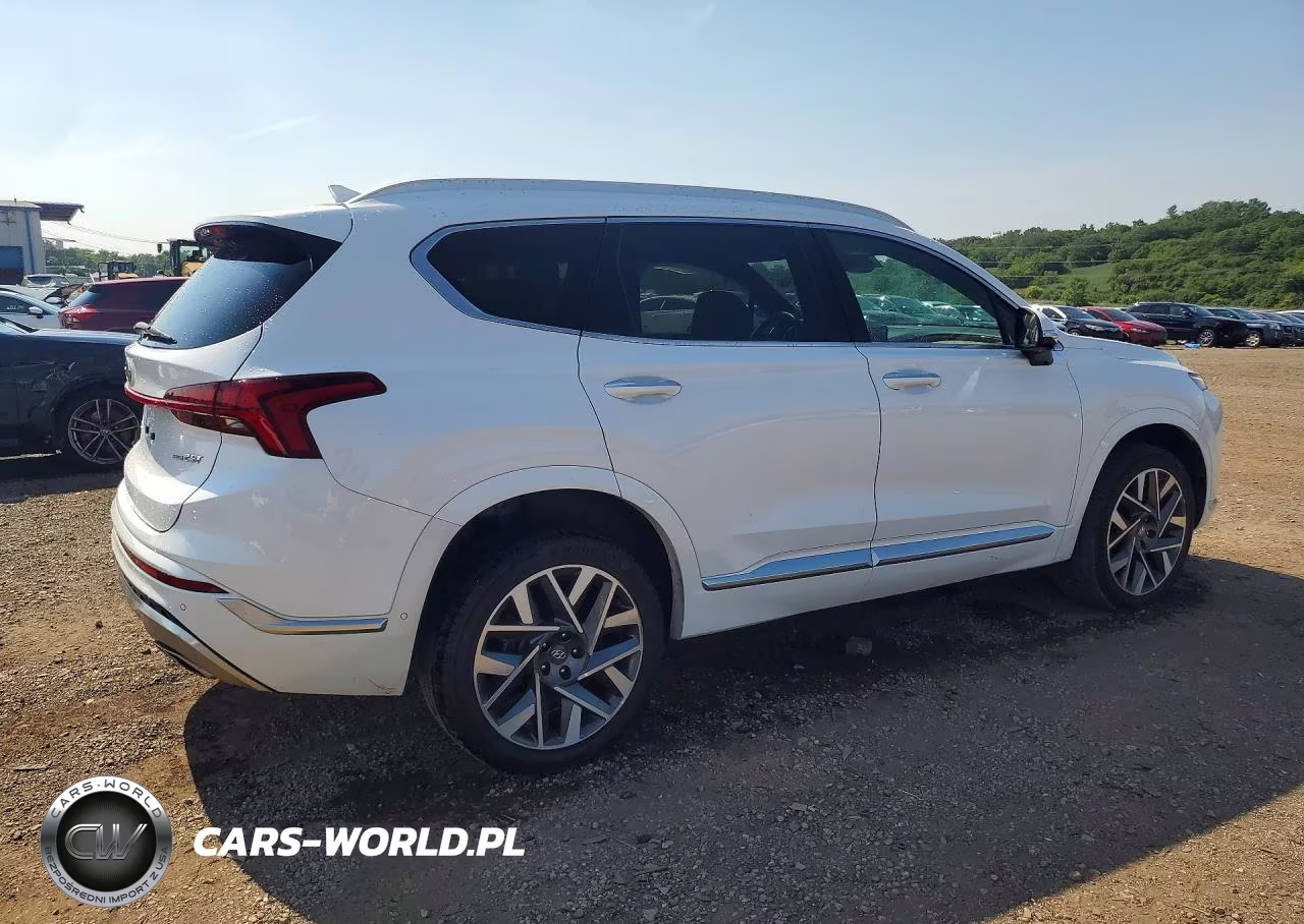 2021 Hyundai Santa Fe Calligraphy VIN:5NMS5DAL1MH363603 - 3