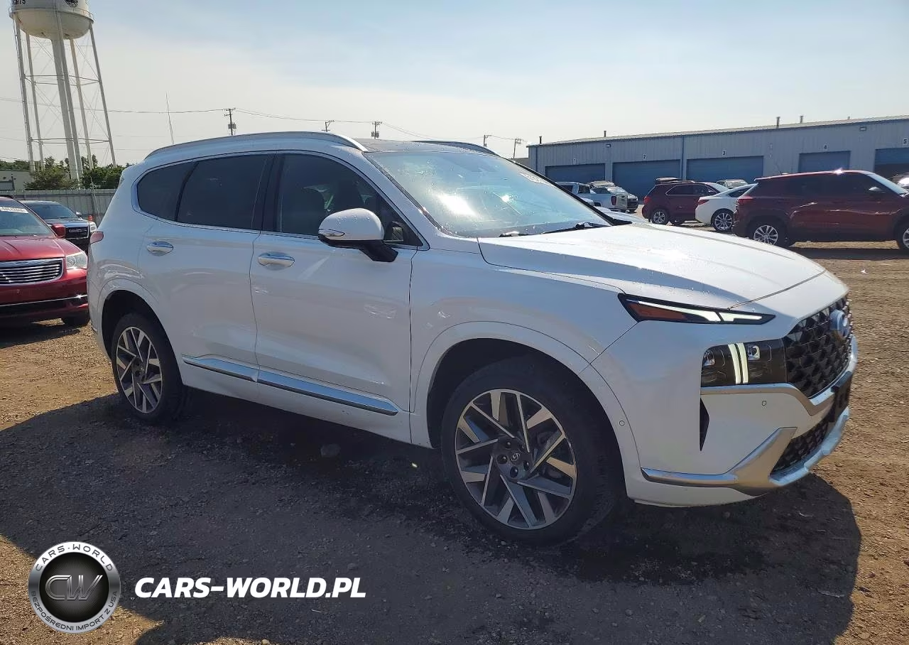 2021 Hyundai Santa Fe Calligraphy VIN:5NMS5DAL1MH363603 - 4