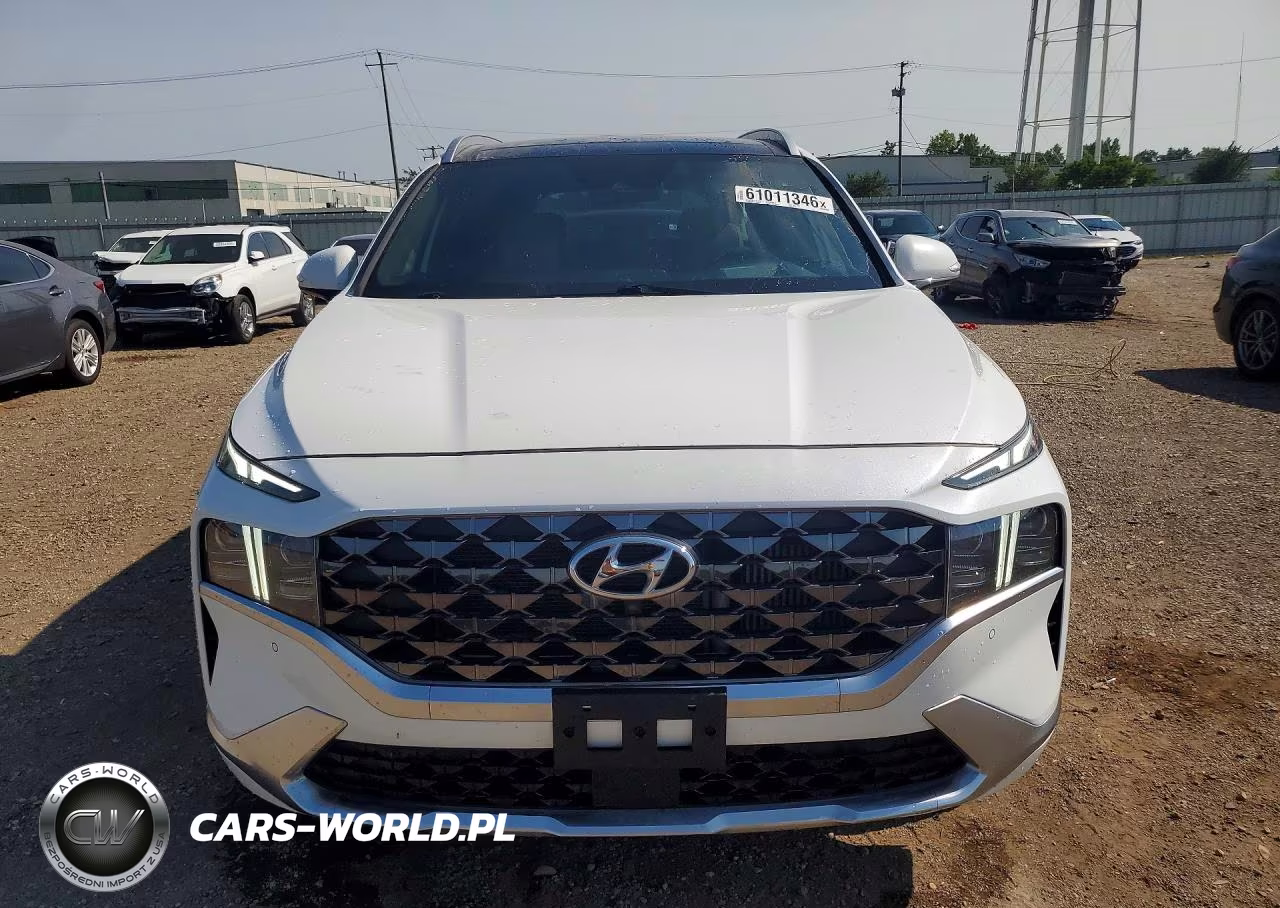 2021 Hyundai Santa Fe Calligraphy VIN:5NMS5DAL1MH363603 - 5