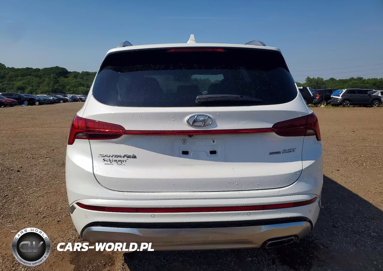 2021 Hyundai Santa Fe Calligraphy VIN:5NMS5DAL1MH363603 - 6
