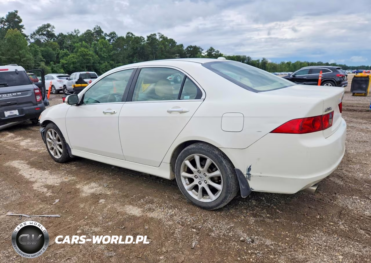 2006 Acura Tsx VIN:JH4CL968X6C036175 - 2