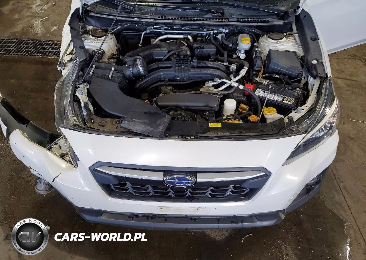 2019 Subaru Crosstrek Premium VIN:JF2GTAEC1K8395813 - 12