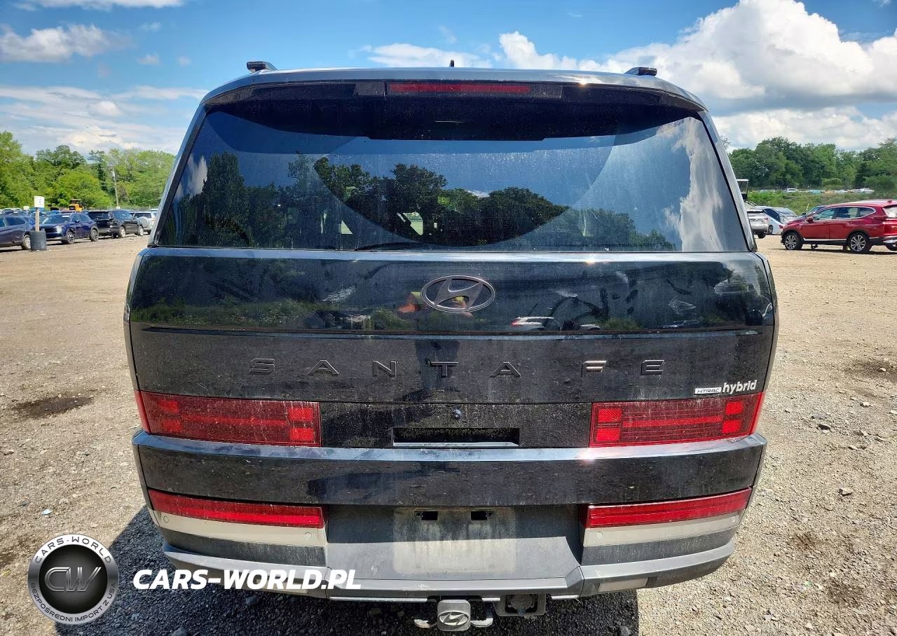 2024 Hyundai Santa Fe Limited VIN:5NMP3DG15RH004795 - 6