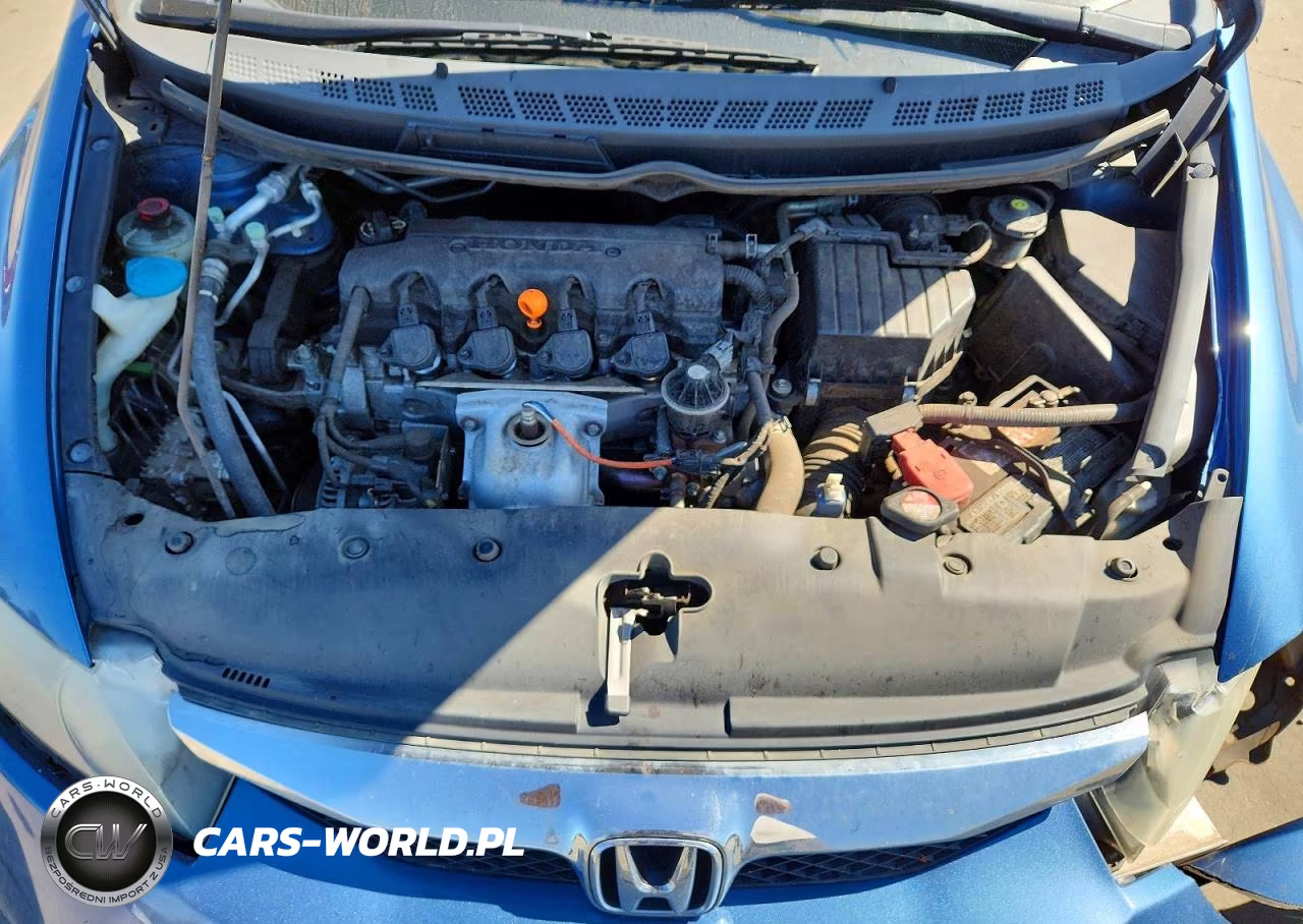 2010 Honda Civic Lx VIN:19XFA1F5XAE013251 - 11
