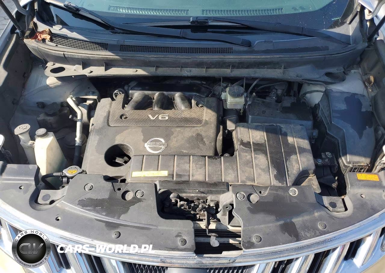 2010 Nissan Murano S VIN:JN8AZ1MW1AW106586 - 12