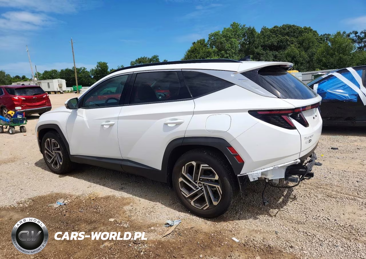 2025 Hyundai Tucson Limited VIN:3KMJE3DE1SE016535 - 2