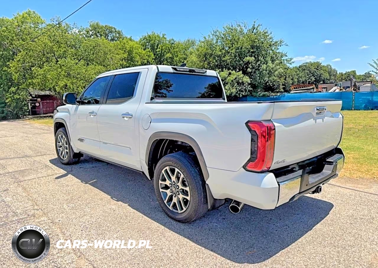 2025 Toyota Tundra Crewmax Platinum VIN:5TFMA5DB1SX239431 - 3