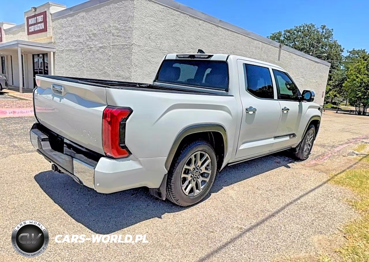2025 Toyota Tundra Crewmax Platinum VIN:5TFMA5DB1SX239431 - 4