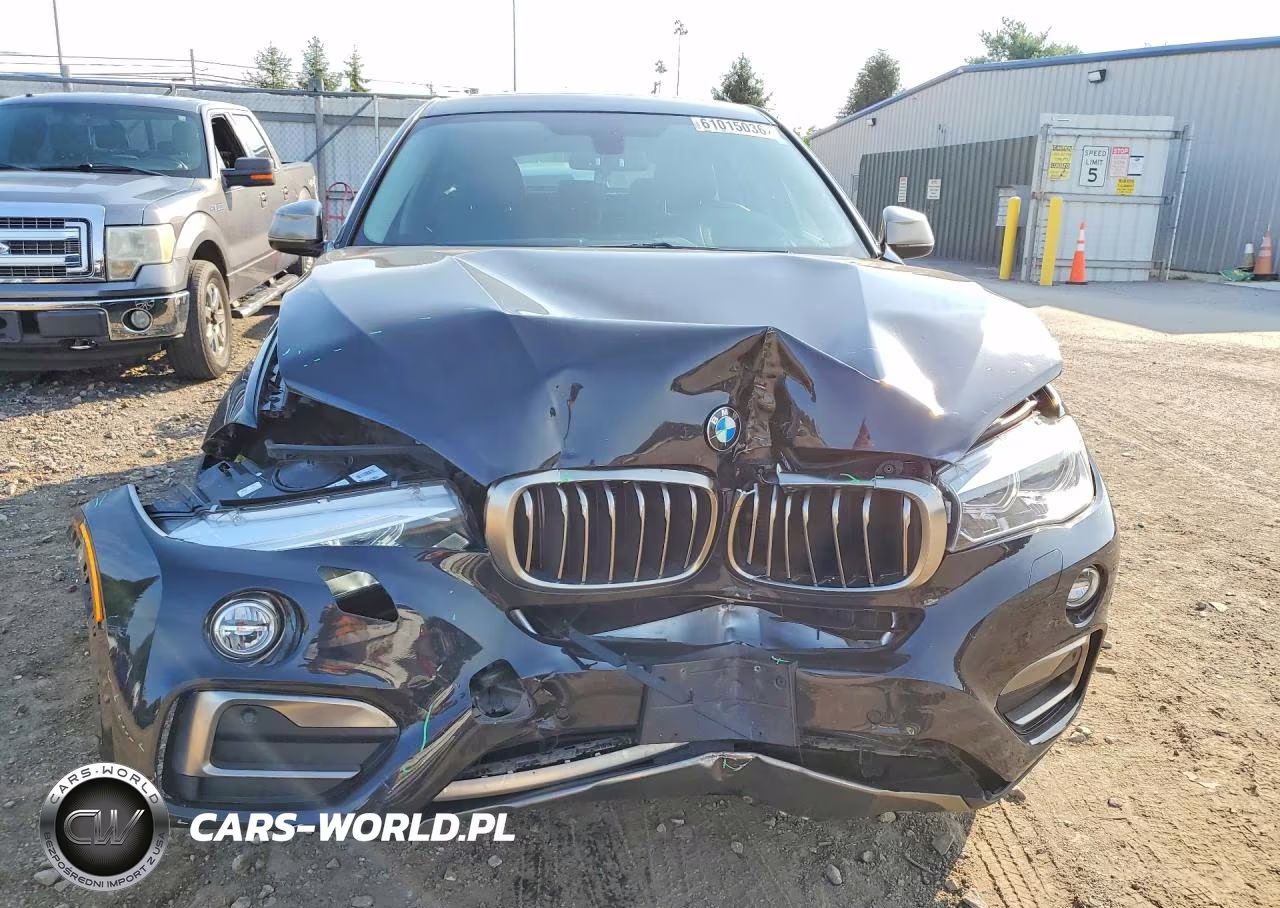2016 BMW X6 xDrive35I VIN:5UXKU2C53G0N82619 - 5
