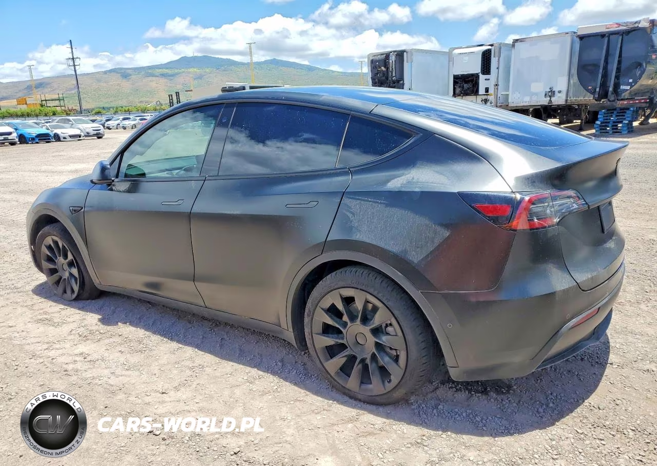 2022 Tesla Model Y VIN:7SAYGDEE2NF445815 - 2