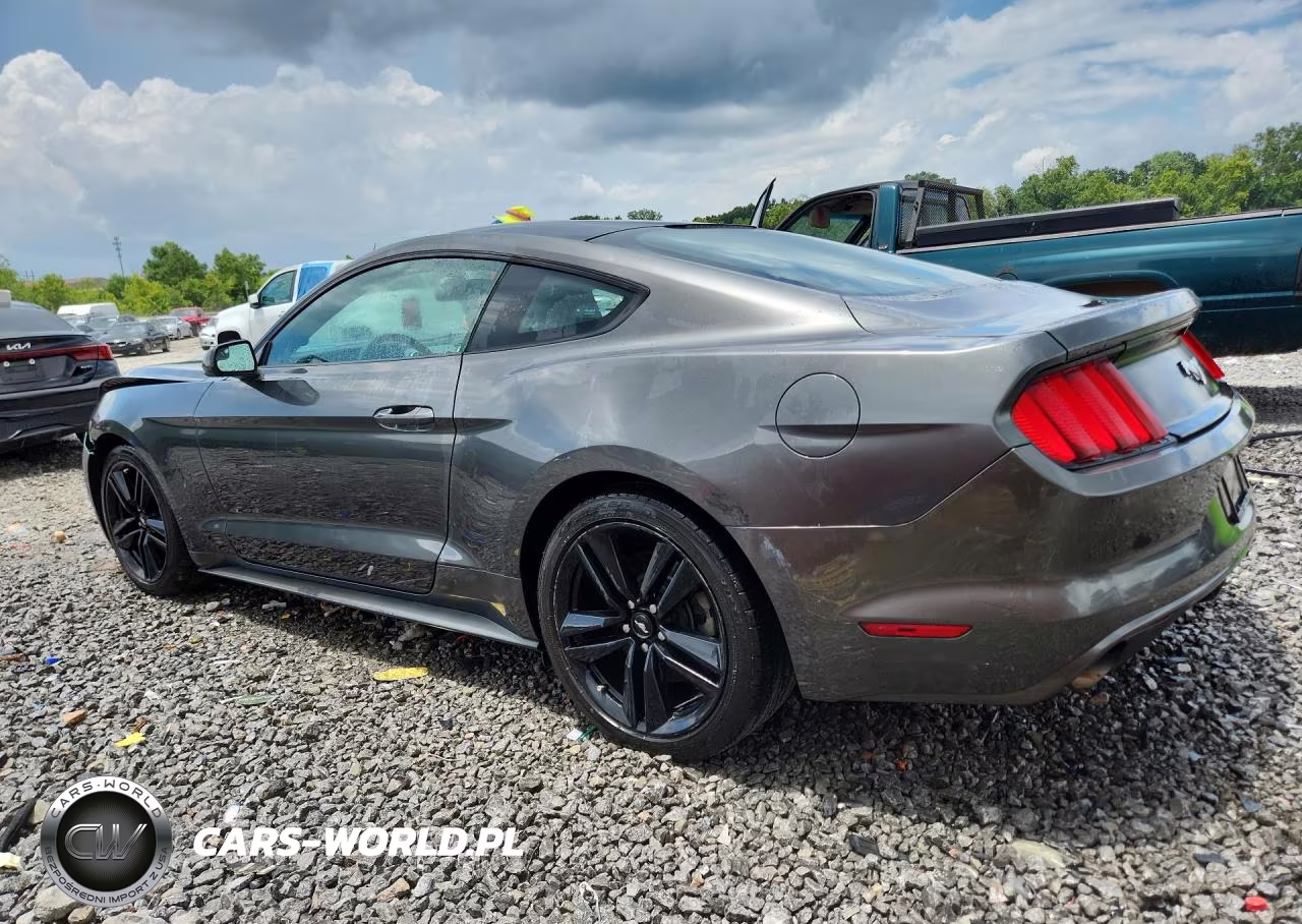 2017 Ford Mustang VIN:1FA6P8TH6H5214789 - 2