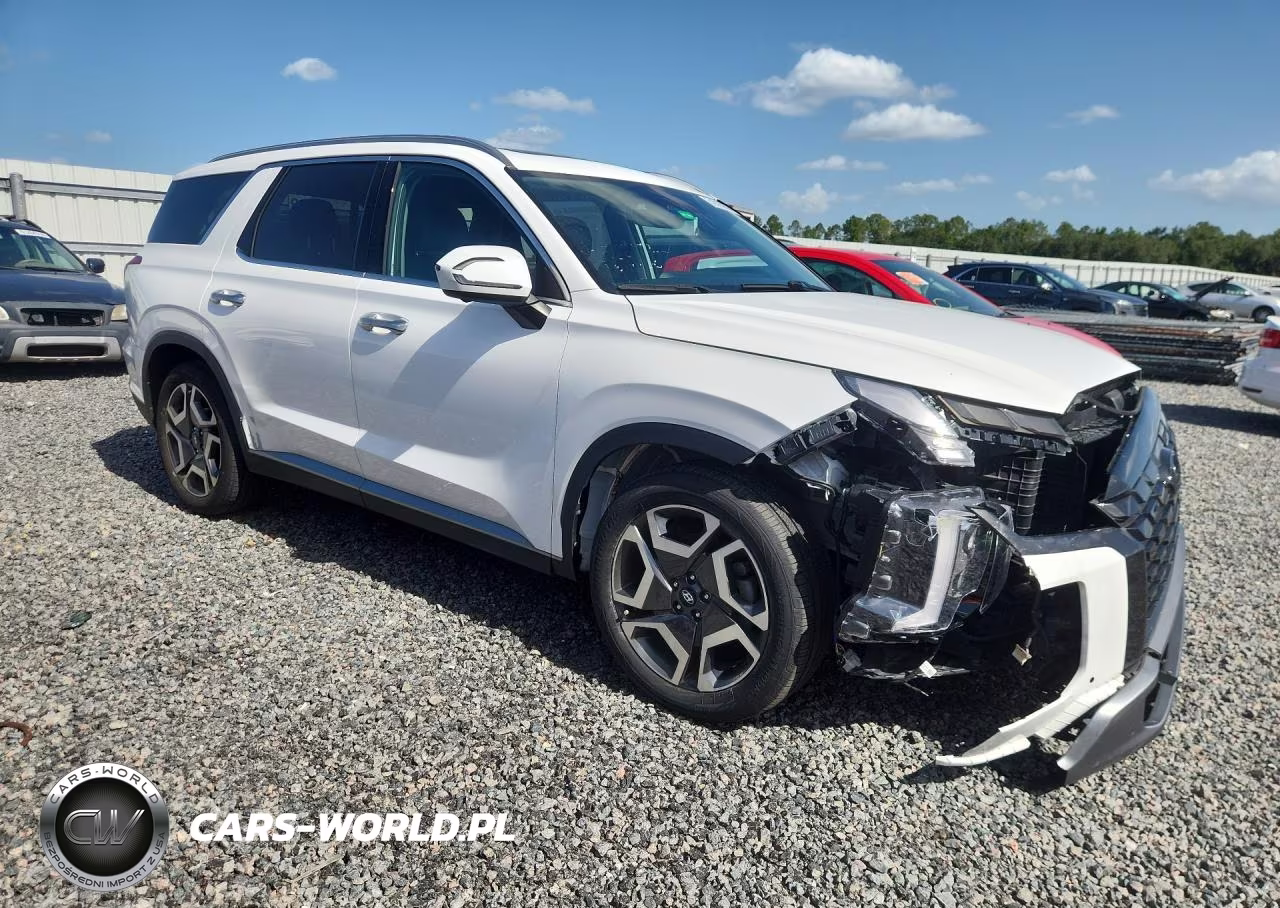2023 Hyundai Palisade Limited VIN:KM8R54GE8PU566021 - 4