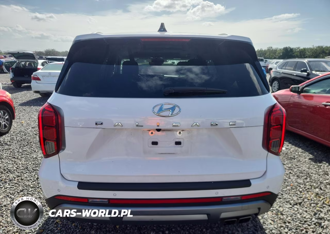 2023 Hyundai Palisade Limited VIN:KM8R54GE8PU566021 - 6