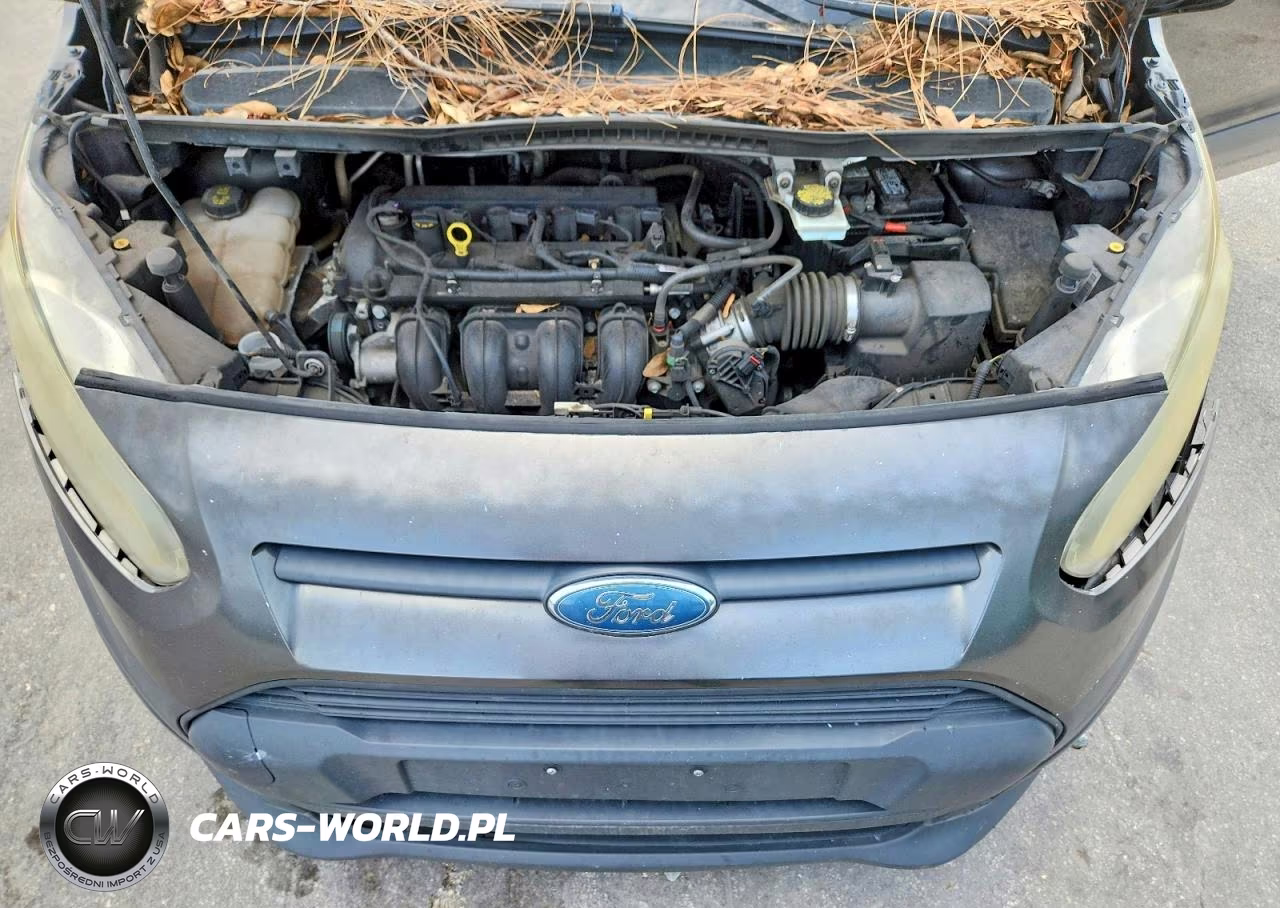 2017 Ford Transit Connect Xl VIN:NM0GE9E75H1325594 - 12