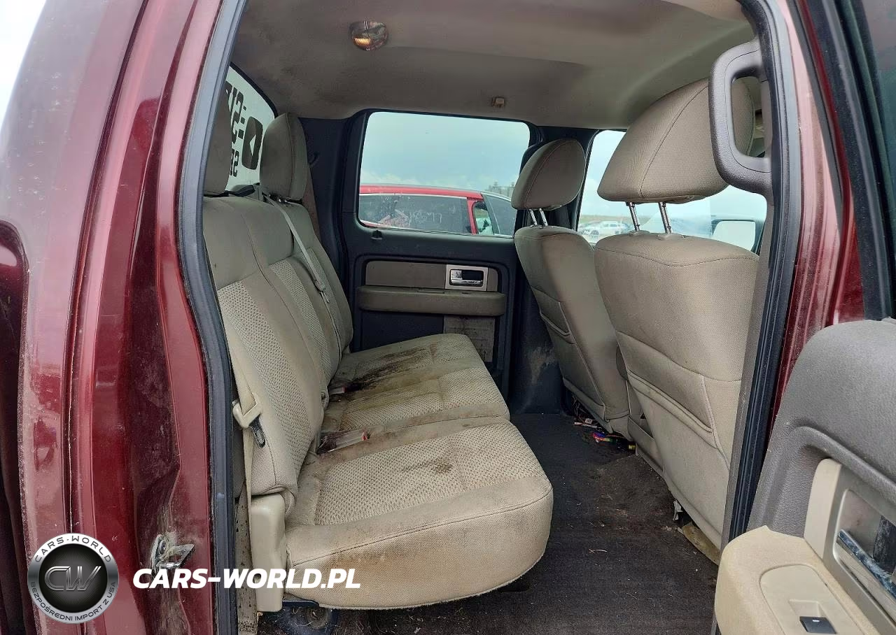2010 Ford F150 Supercrew VIN:1FTEW1C89AKB59844 - 10