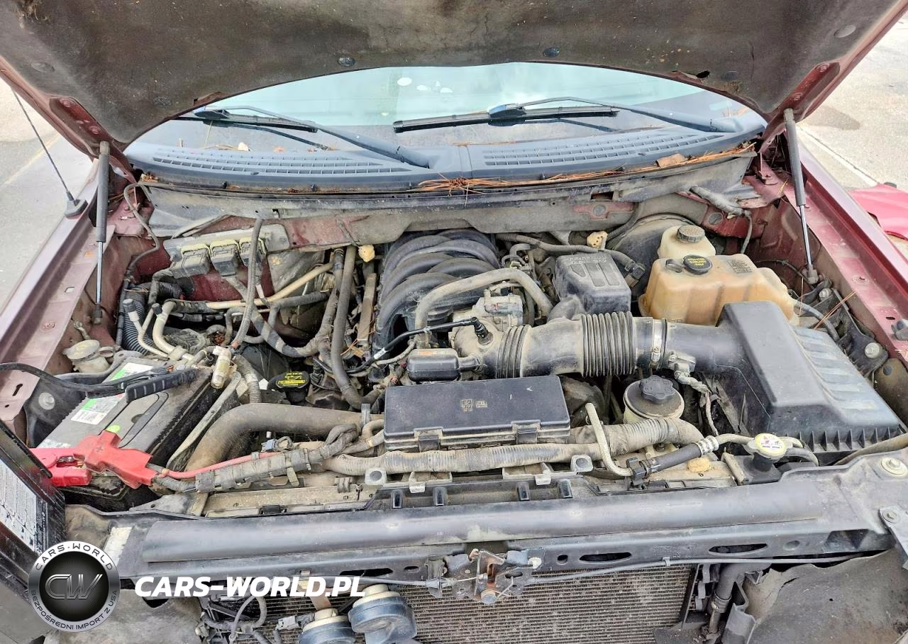 2010 Ford F150 Supercrew VIN:1FTEW1C89AKB59844 - 11