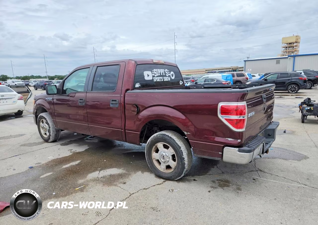 2010 Ford F150 Supercrew VIN:1FTEW1C89AKB59844 - 2