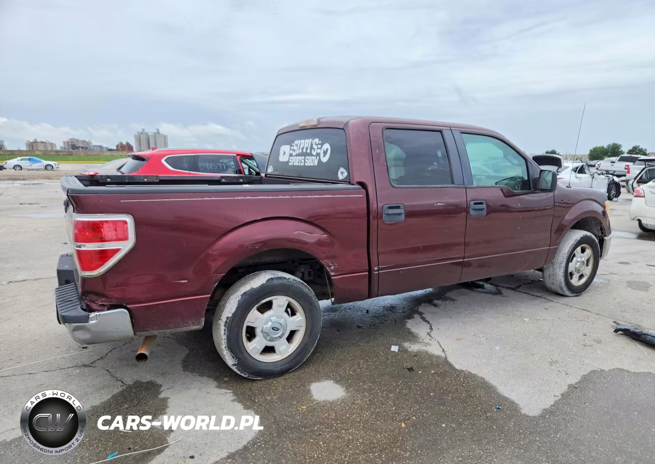 2010 Ford F150 Supercrew VIN:1FTEW1C89AKB59844 - 3