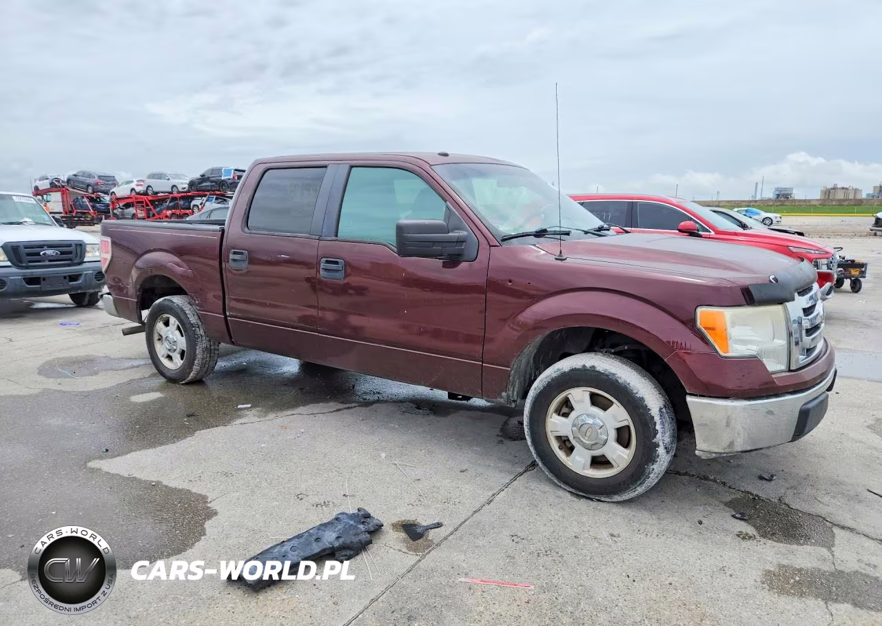 2010 Ford F150 Supercrew VIN:1FTEW1C89AKB59844 - 4