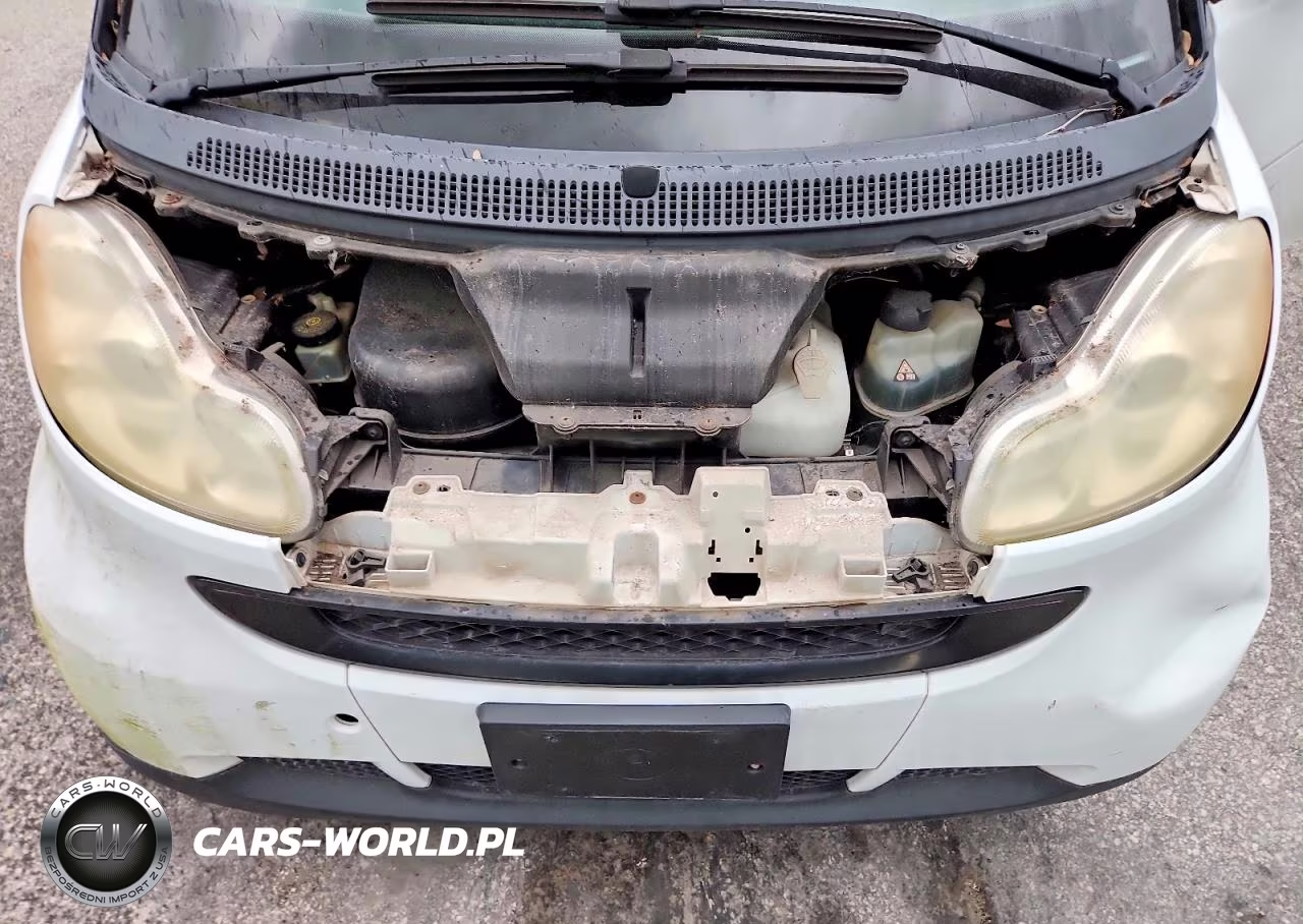 2009 Smart Fortwo Pure VIN:WMEEJ31X39K210210 - 11