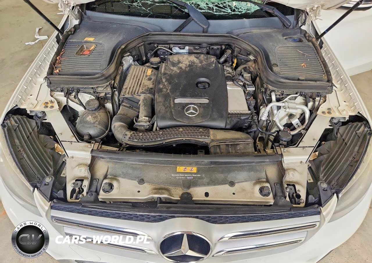 2016 Mercedes-Benz Glc 300 VIN:WDC0G4JB0GF051342 - 12