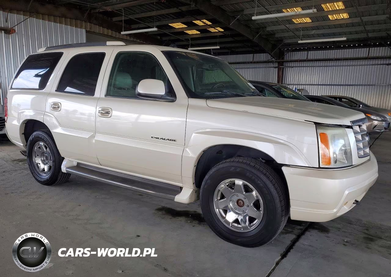 2004 Cadillac Escalade Luxury VIN:1GYEK63N14R311023 - 4