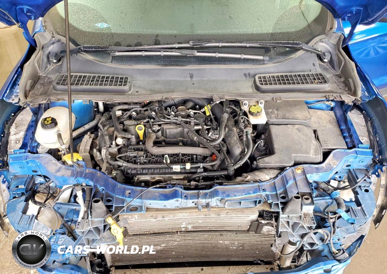 2019 Ford Escape Se VIN:1FMCU9GD9KUA69548 - 12