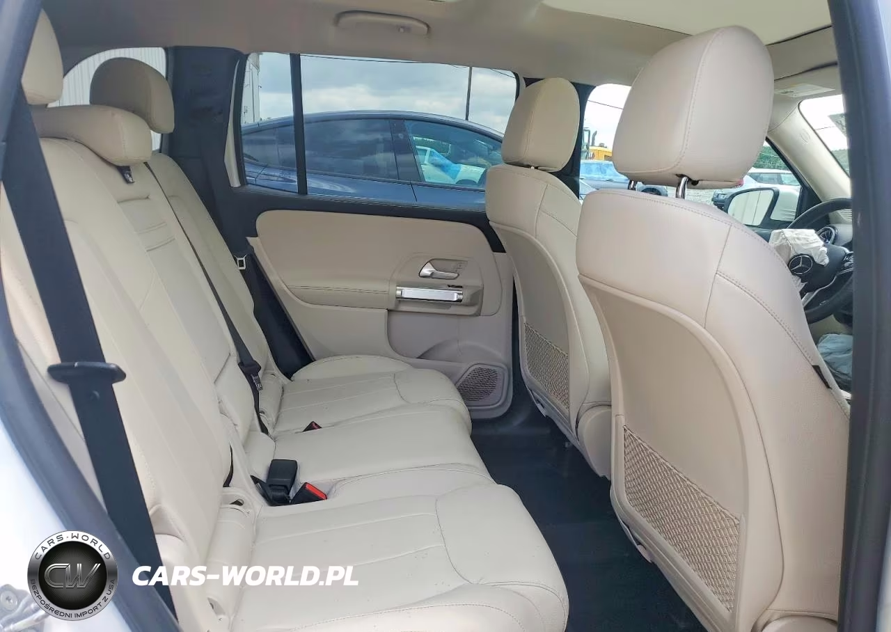 2023 Mercedes-Benz Glb 250 4Matic VIN:W1N4M4HB1PW266145 - 10