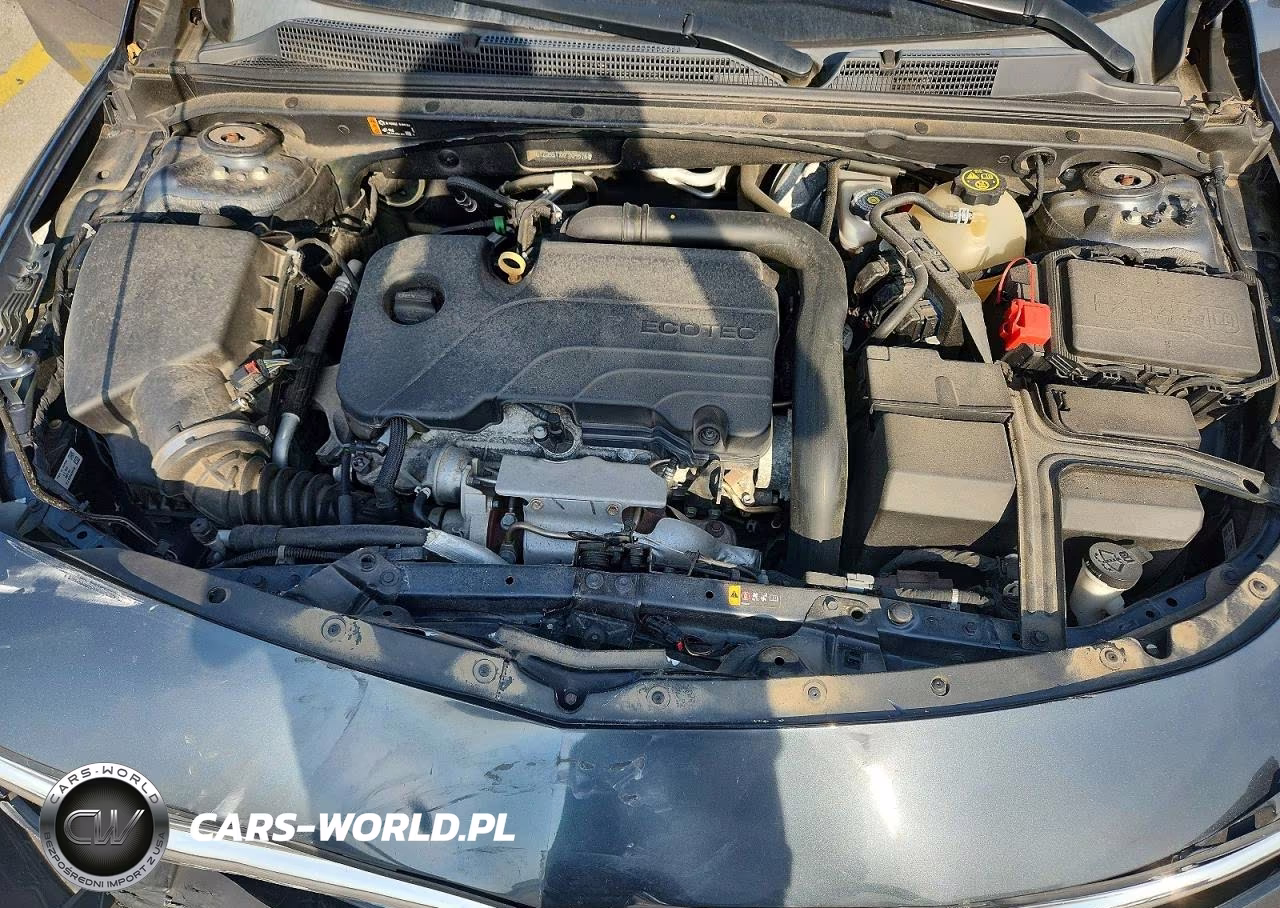 2019 Chevrolet Malibu Lt VIN:1G1ZD5STXKF209576 - 11