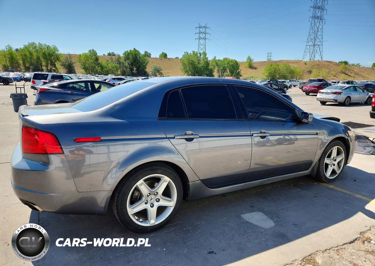 2006 Acura 3.2Tl VIN:19UUA66216A057984 - 3