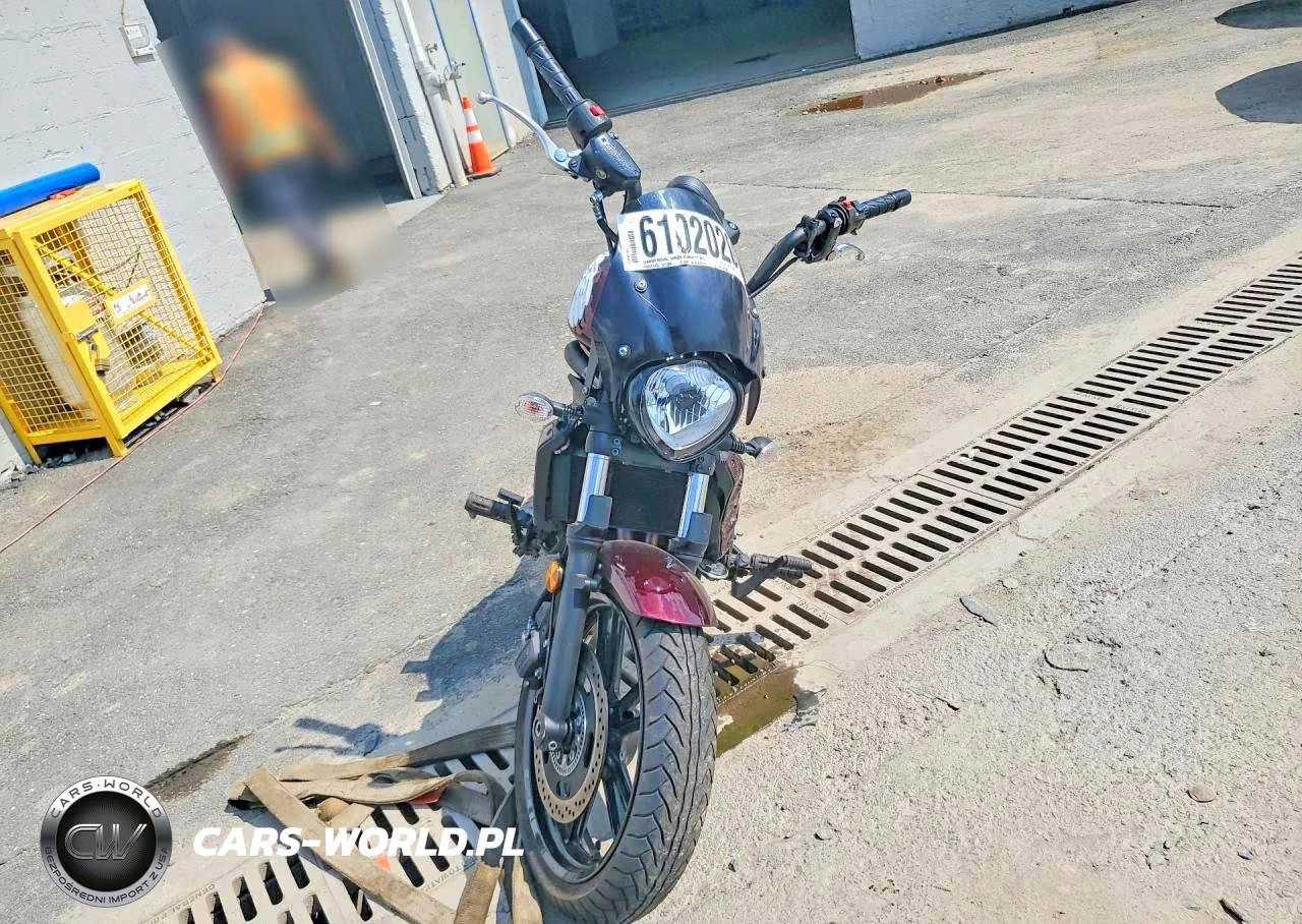 2020 Kawasaki En650 D VIN:JKAENED17LDA20960 - 2