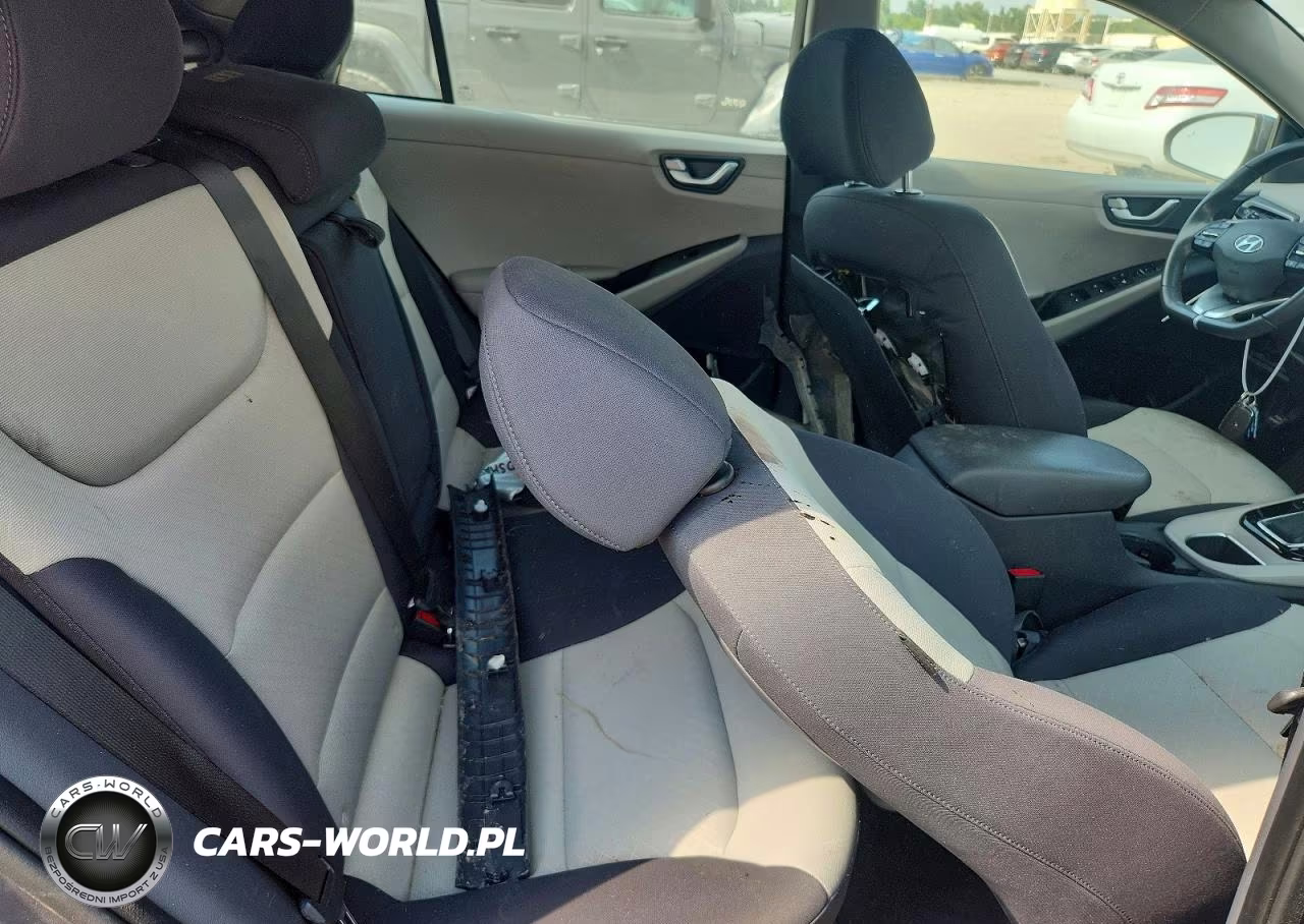 2019 Hyundai Ioniq Sel VIN:KMHC75LC8KU129686 - 10