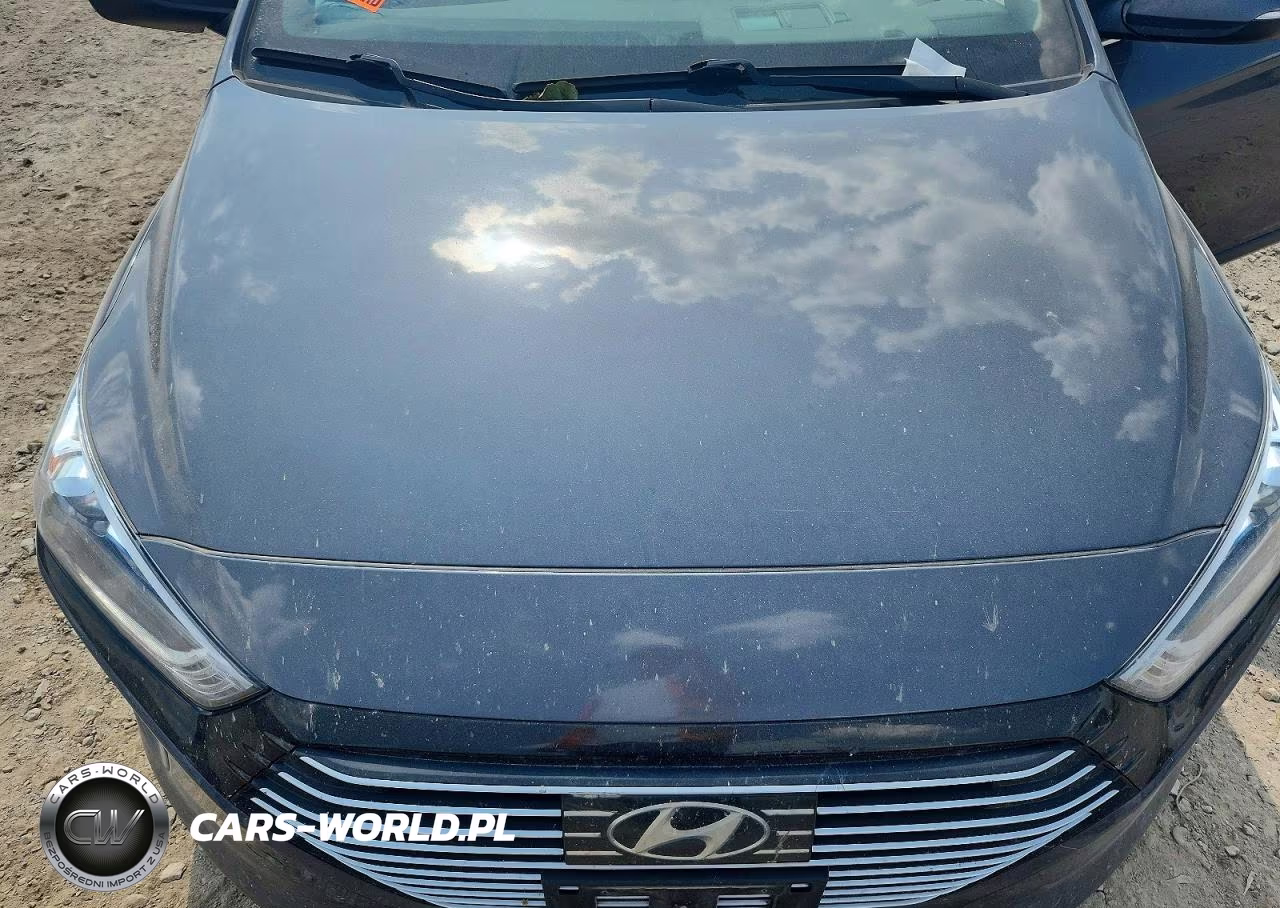 2019 Hyundai Ioniq Sel VIN:KMHC75LC8KU129686 - 11