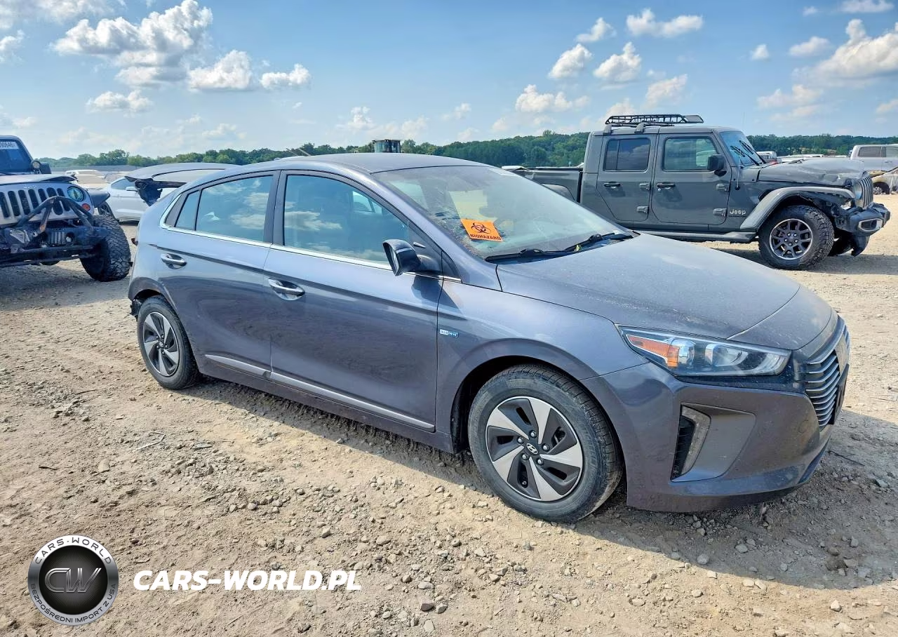 2019 Hyundai Ioniq Sel VIN:KMHC75LC8KU129686 - 4