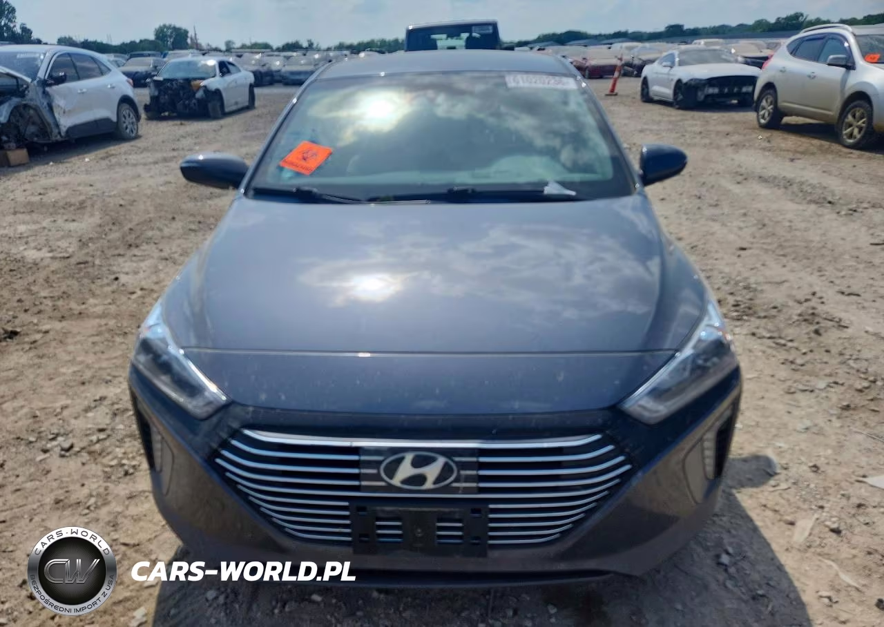 2019 Hyundai Ioniq Sel VIN:KMHC75LC8KU129686 - 5