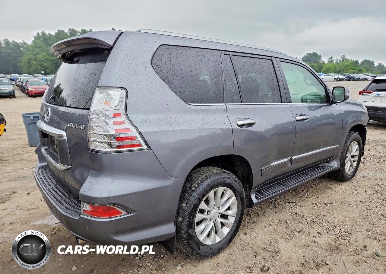 2018 Lexus Gx 460 VIN:JTJBM7FX7J5185160 - 3