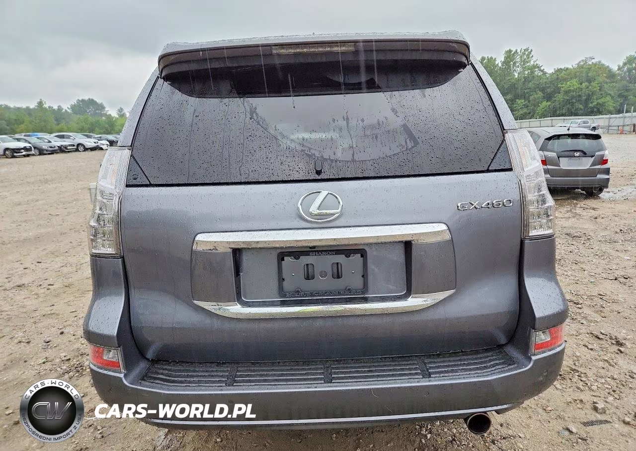 2018 Lexus Gx 460 VIN:JTJBM7FX7J5185160 - 6