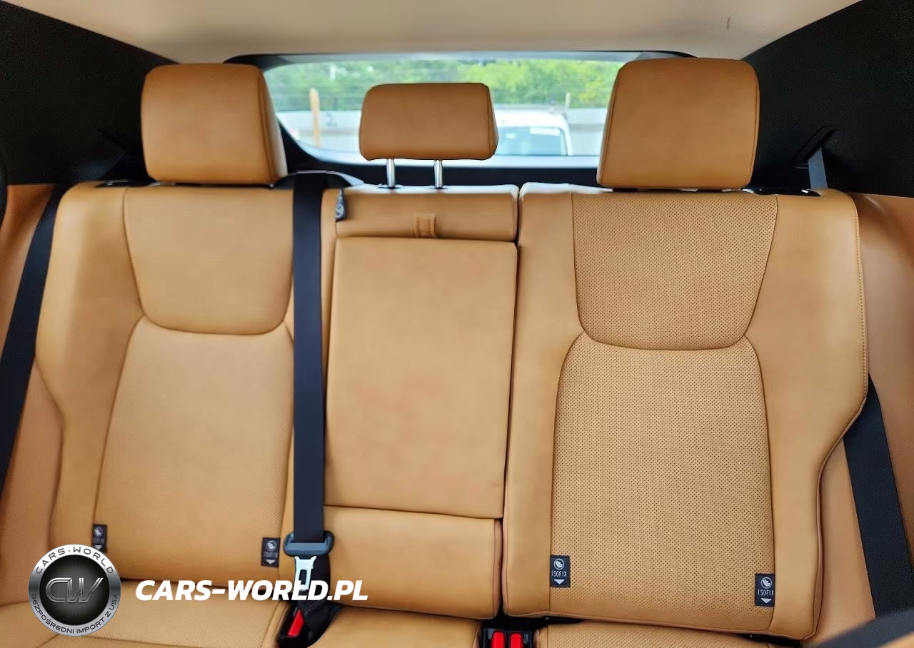 2025 Lexus Rz 450E VIN:JTJAAAAB2SA031705 - 10