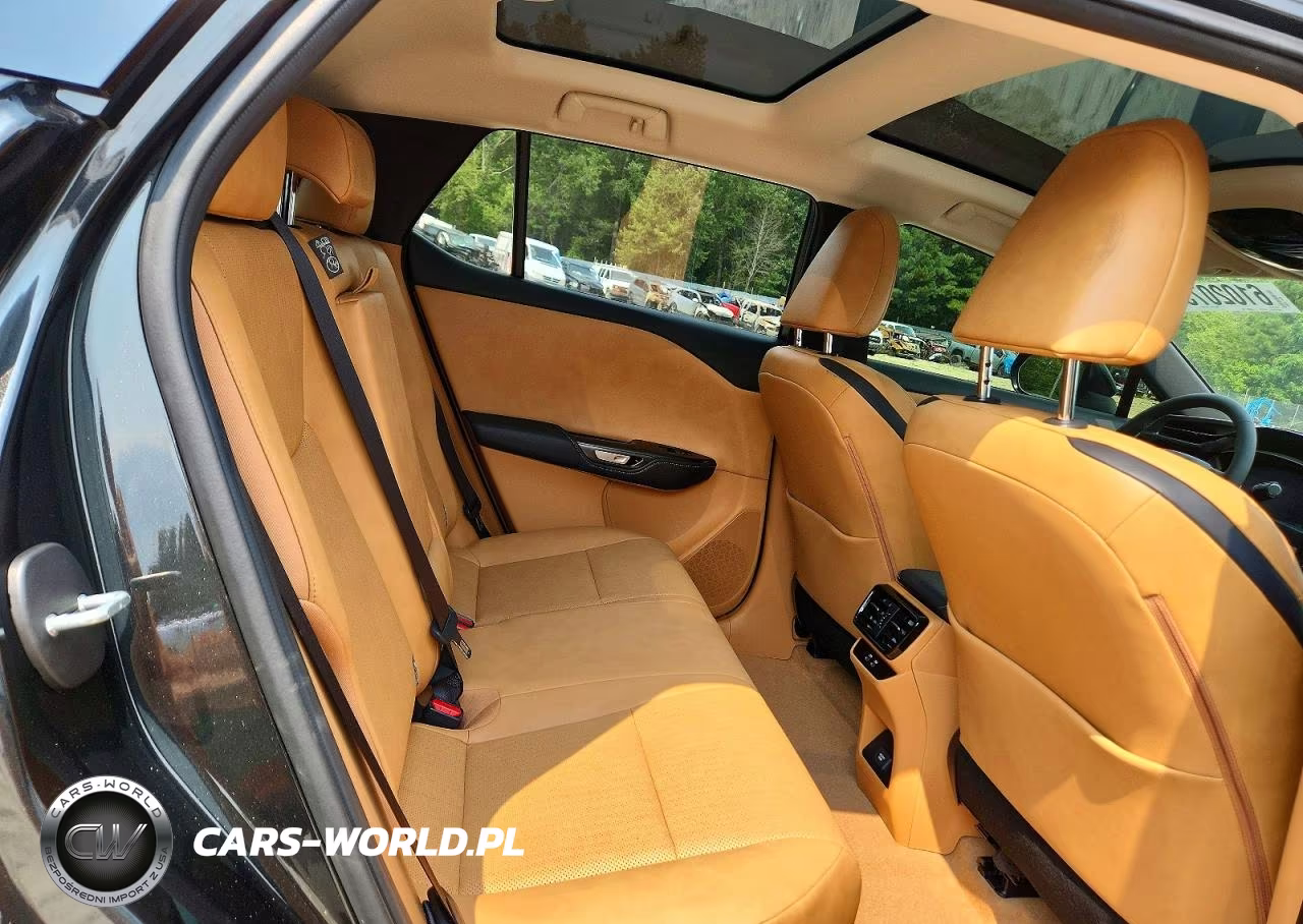 2025 Lexus Rz 450E VIN:JTJAAAAB2SA031705 - 11