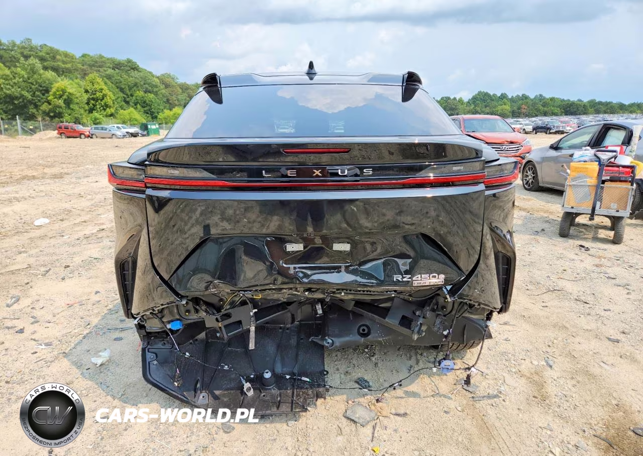 2025 Lexus Rz 450E VIN:JTJAAAAB2SA031705 - 6