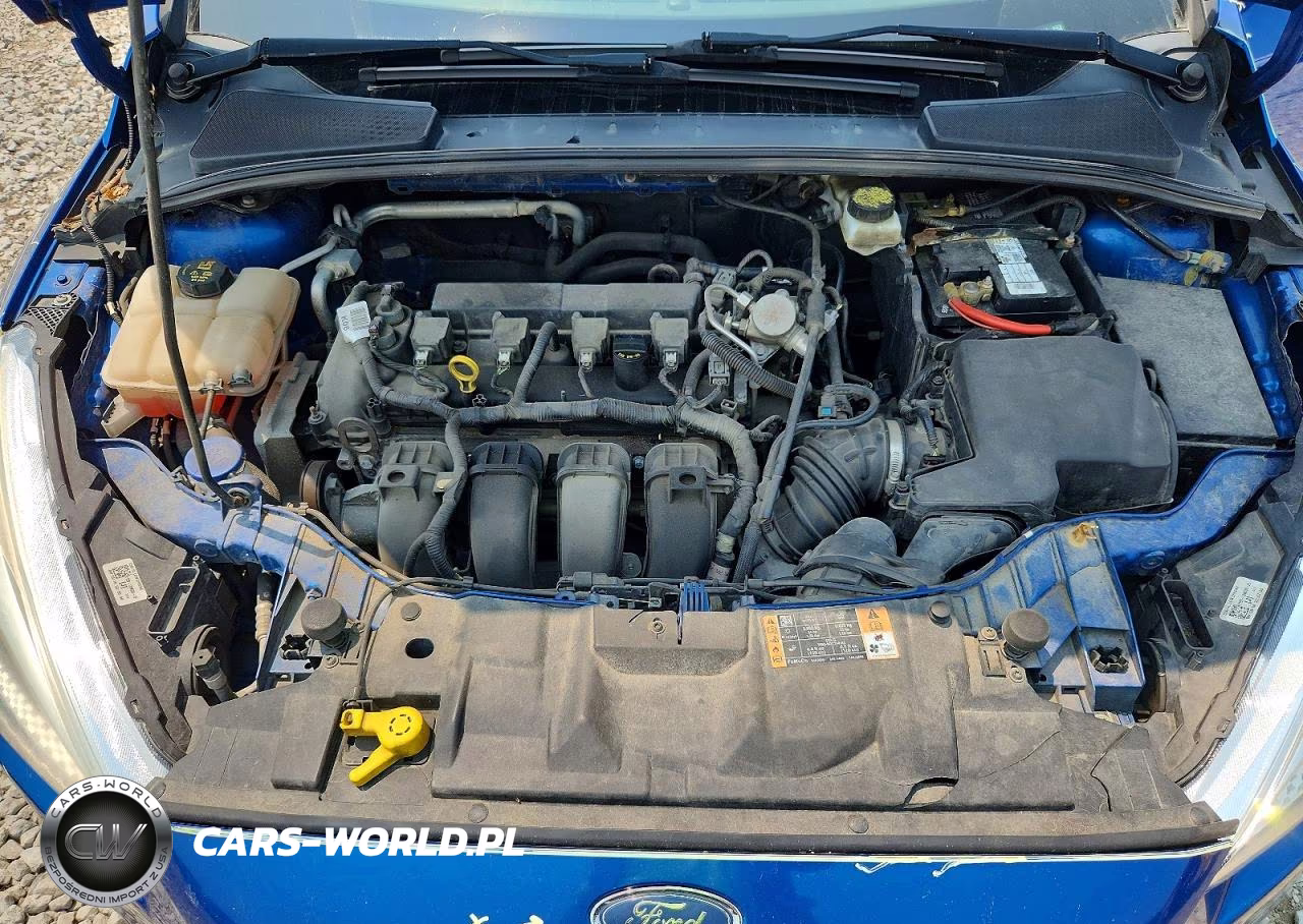 2018 Ford Focus Se VIN:1FADP3K24JL317668 - 11