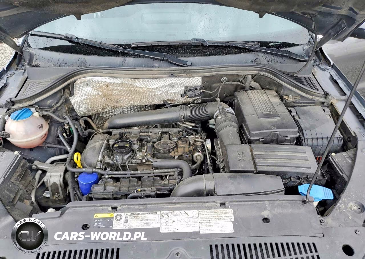 2014 Volkswagen Tiguan S VIN:WVGBV3AX5EW560099 - 12
